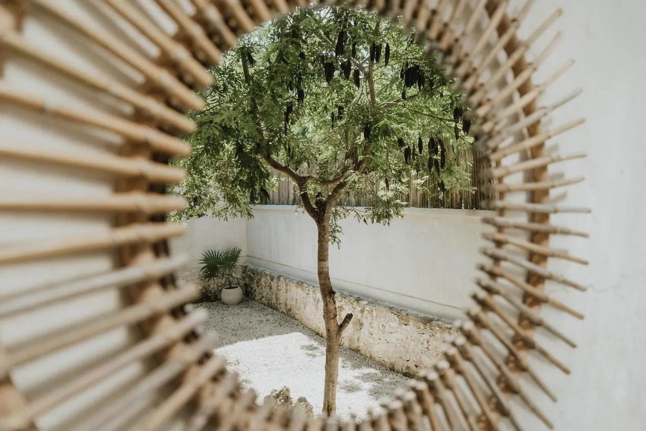 Casa Chimi Tulum Bed & Breakfast Mexico
